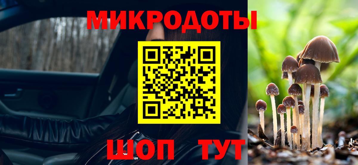 Кунгур  Псилоцибиновые грибы GOLDEN TEACHER  цена   Вход с VPN 